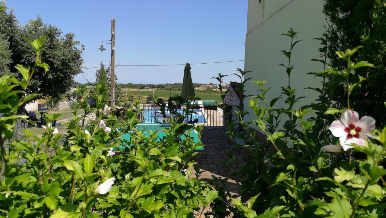 Moratto'S Apartments Umag Bagian luar foto